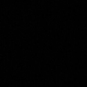 Meet your Posher, Fidel